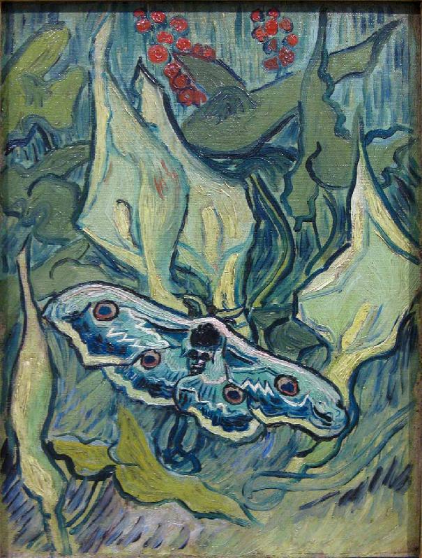 Vincent Van Gogh Butterflies Germany oil painting art